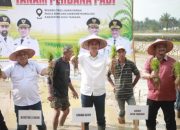 Pimpin Tanam Padi Perdana Pasca Bencana, Sekda Aceh : Jaga Stabilitas Pangan Tetap Aman