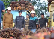 Sidak Dua Pabrik Kelapa Sawit, Bupati Aceh Barat Temukan Harga TBS Masih di Bawah Ketetapan Pemerintah