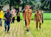 Bupati Aceh Barat Salurkan Bantuan Pompa Air untuk Petani Terdampak Kekeringan