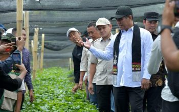 ‎Mentan Apresiasi Kinerja Pemerintah Aceh, Janji Terus Dukung Pengembangan Pertanian dan Kopi Gayo