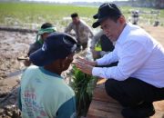 Pemerintah Aceh Pacu Pemulihan Sawah Terdampak Bencana Hidrometeorogi