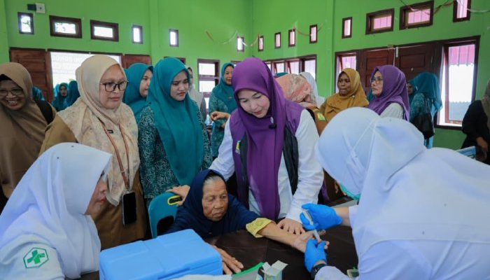 Ketua Posyandu Aceh Besar Tinjau Layanan Kesehatan Gratis di Posyandu Bungong Pade